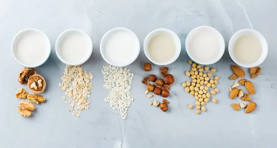 Plant Based Milk (Non -Diary Milk) Vegan 12 FI Plant Milk2