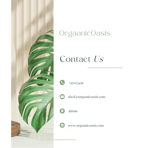Green and White Contact Page Instagram Reels