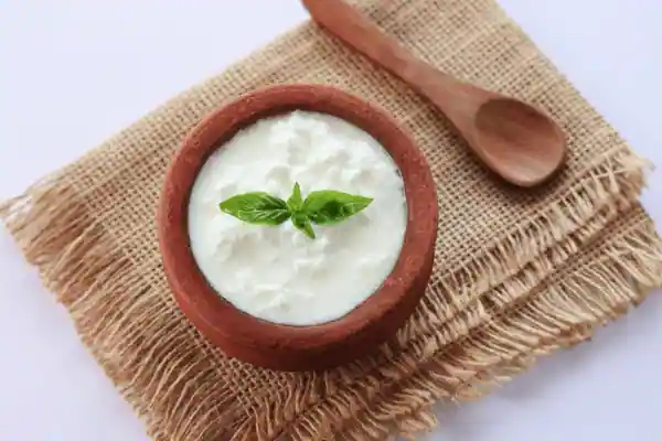 Plant Based Curd vegan 12 homemade yogurt indian dahi curd 600nw 2277907151