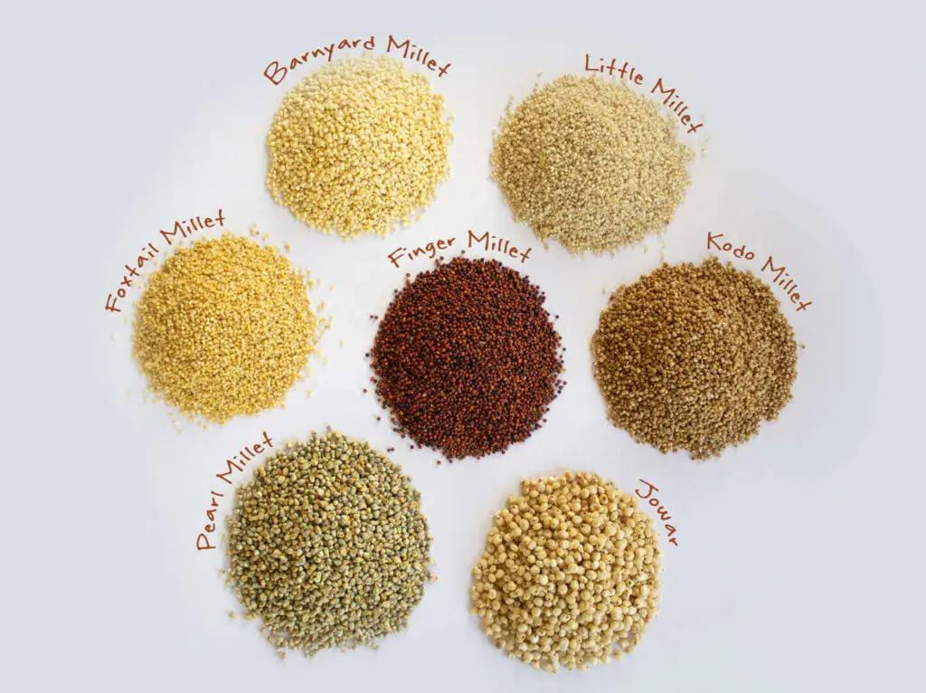 Millets-Superfood 12 millets 1